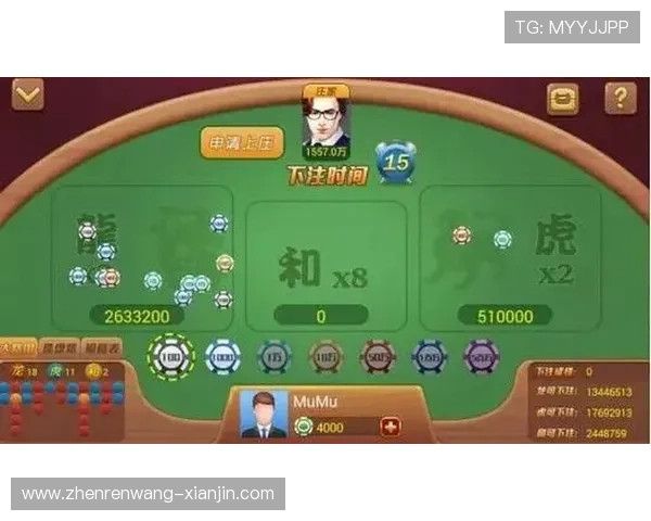 掌握百家乐攻略技巧让你在赌场中轻松获胜实现盈利的实用策略